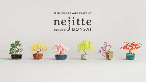 ネジッテ BONSAI キット