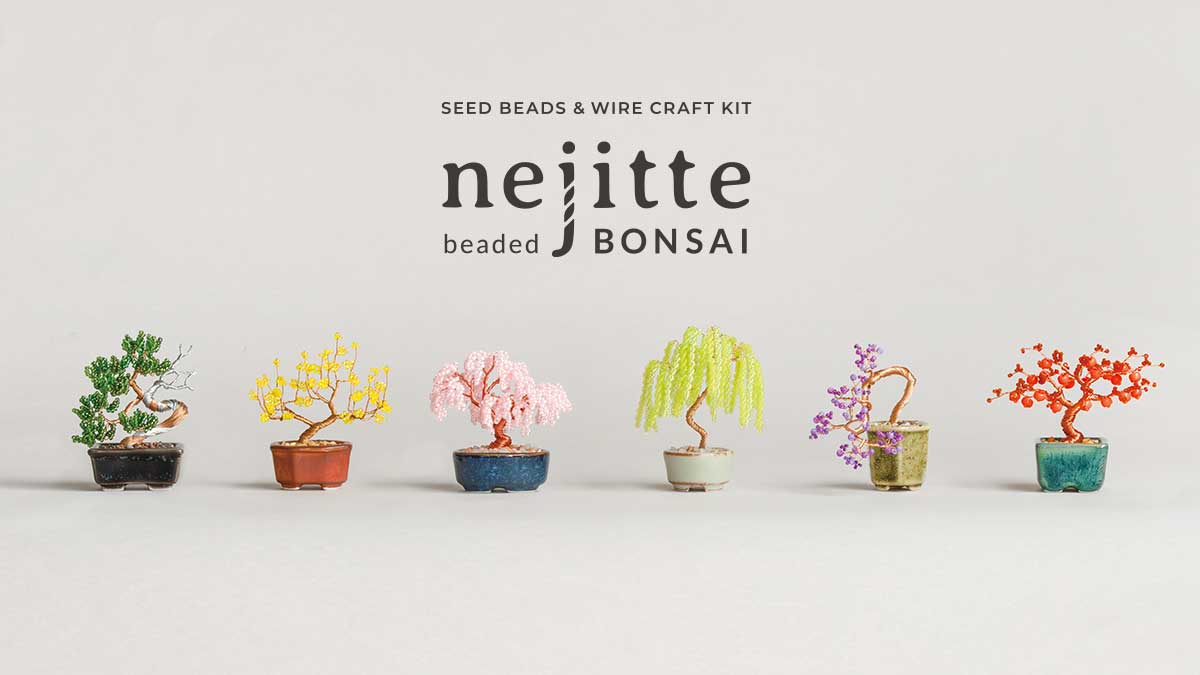 ネジッテ BONSAI キット