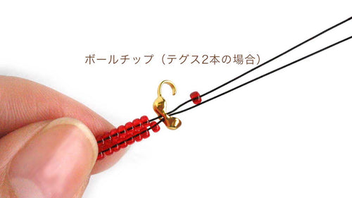 ボールチップの使い方【テグスで2本取りの処理】