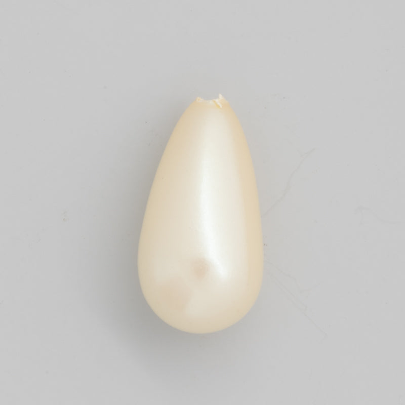 片穴パール
