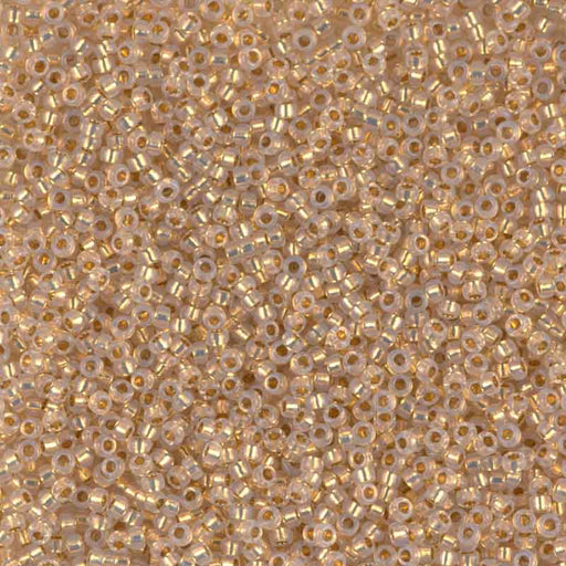 プレシャスビーズ #196(丸特小)