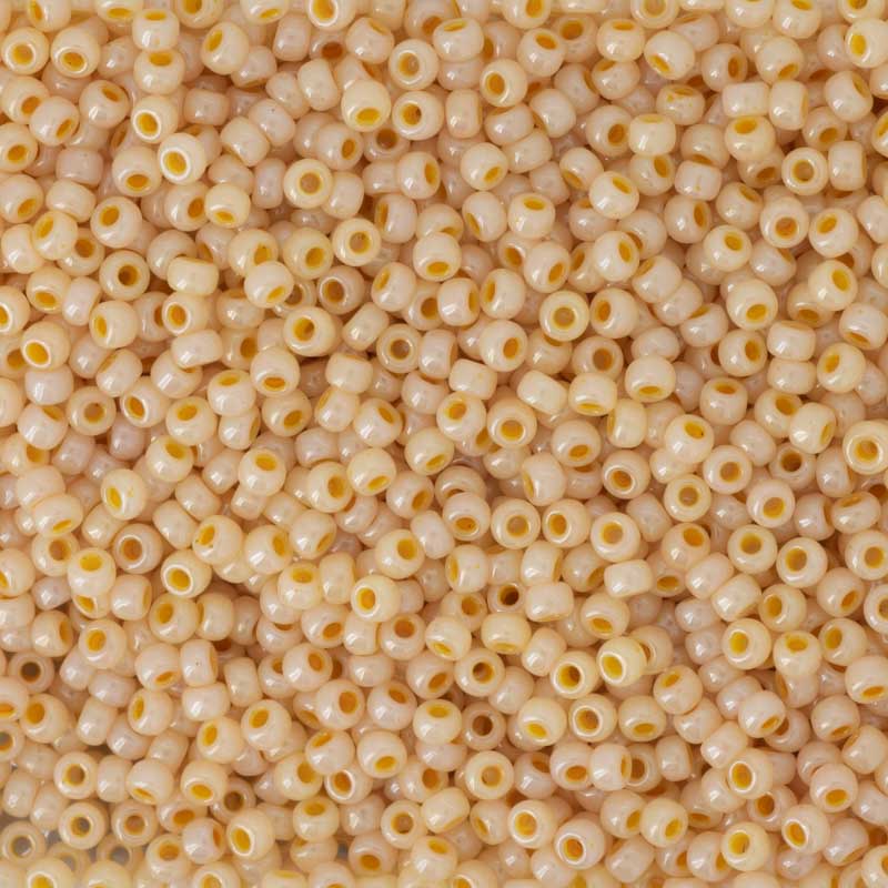 丸小ビーズ #529