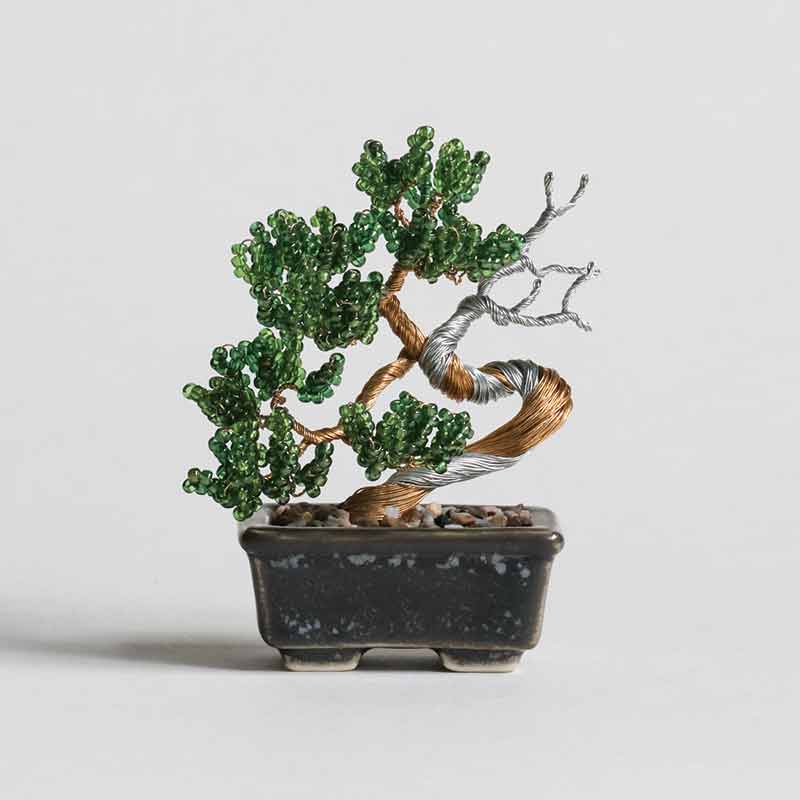 ネジッテBONSAI（真柏）
