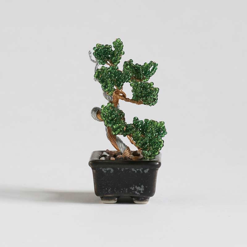 ネジッテBONSAI（真柏）