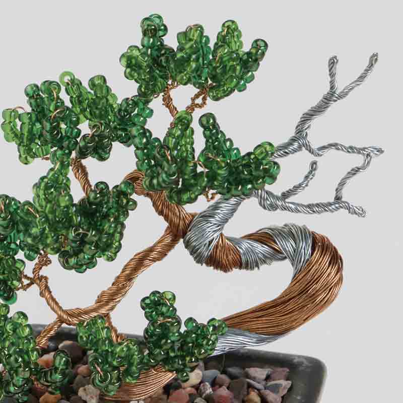 ネジッテBONSAI（真柏）