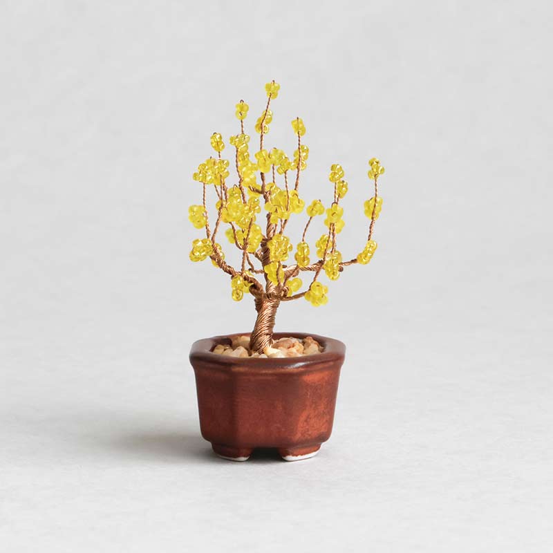 ネジッテBONSAI（蝋梅）