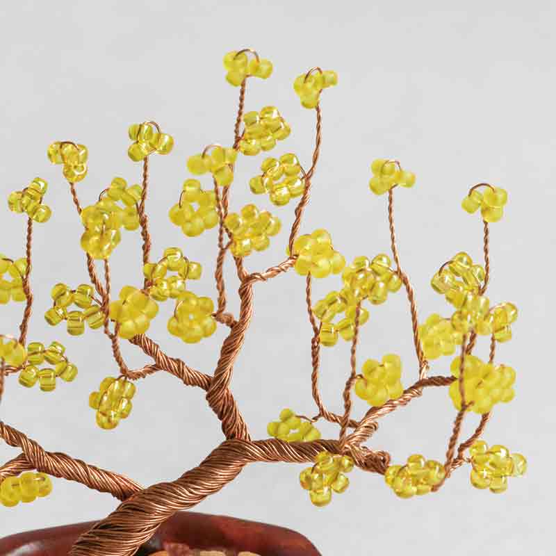 ネジッテBONSAI（蝋梅）