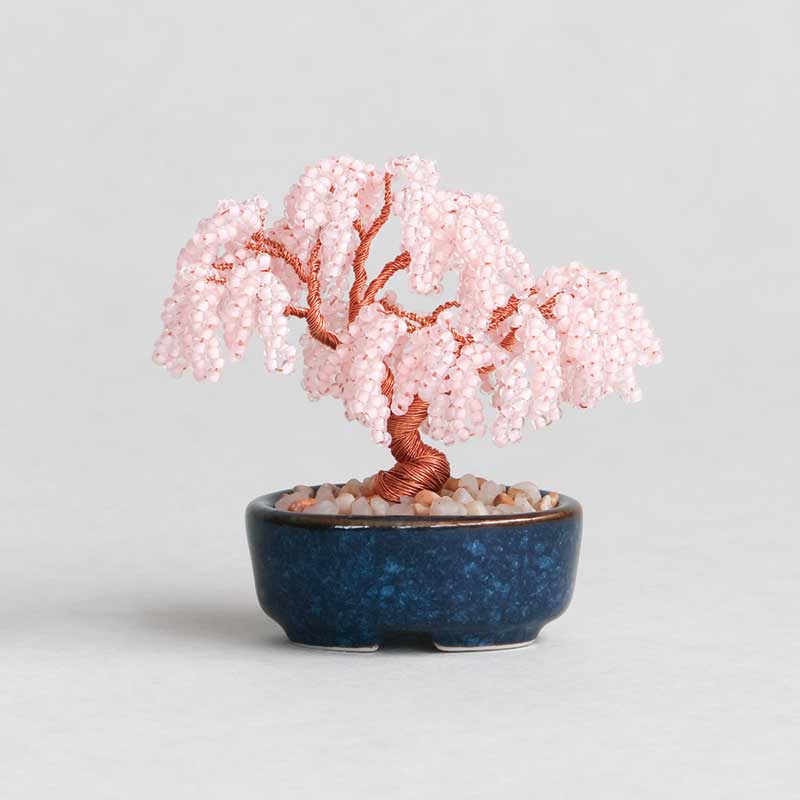 ネジッテBONSAI（枝垂桜）