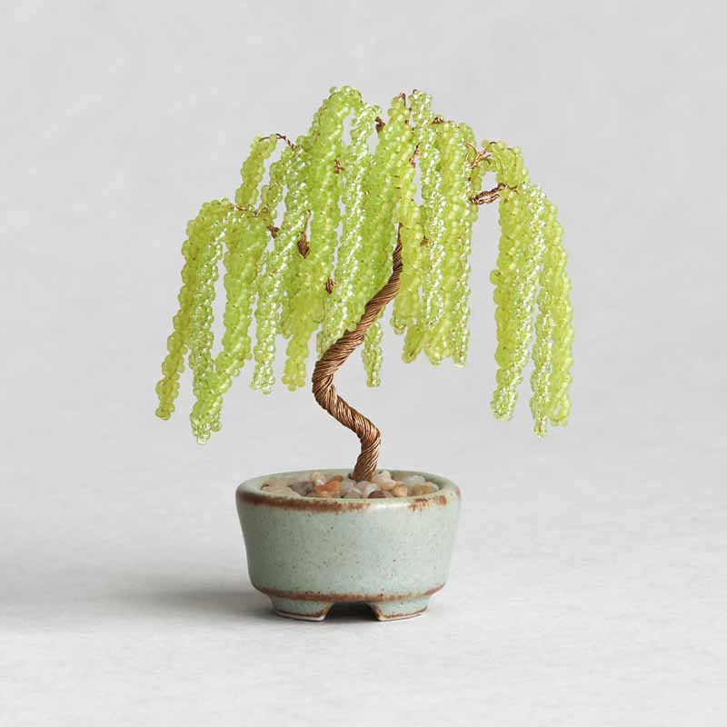 ネジッテBONSAI（柳）