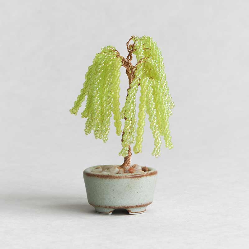 ネジッテBONSAI（柳）