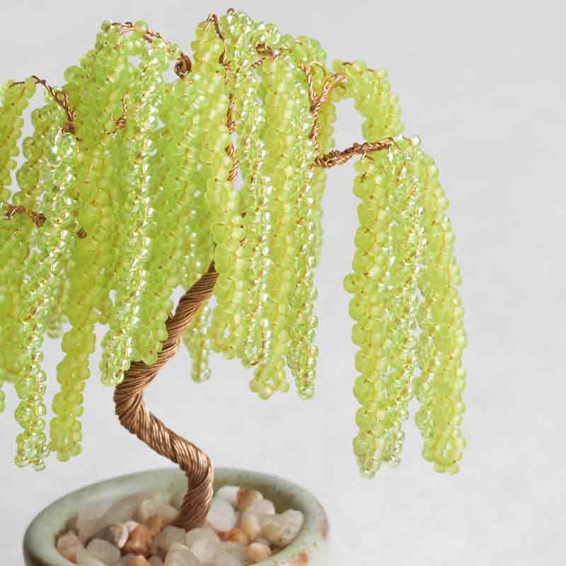 ネジッテBONSAI（柳）
