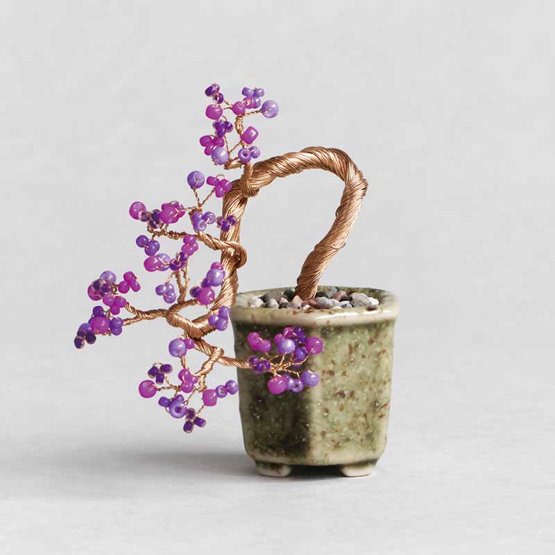 ネジッテBONSAI（紫式部）