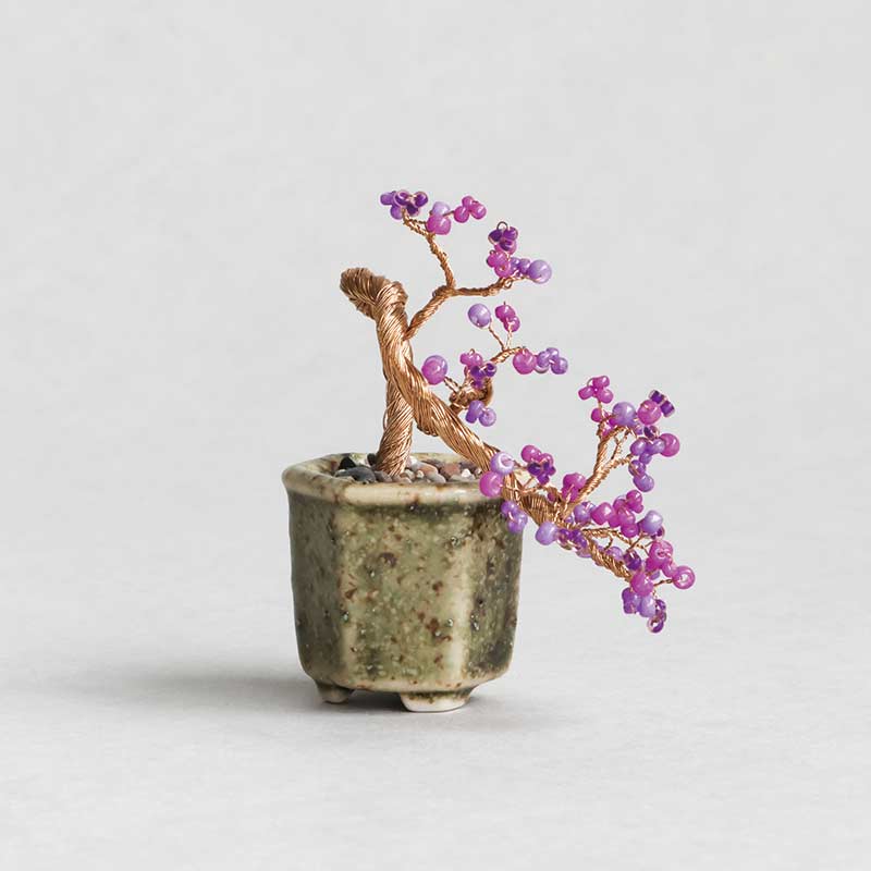 ネジッテBONSAI（紫式部）