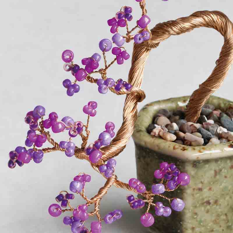 ネジッテBONSAI（紫式部）