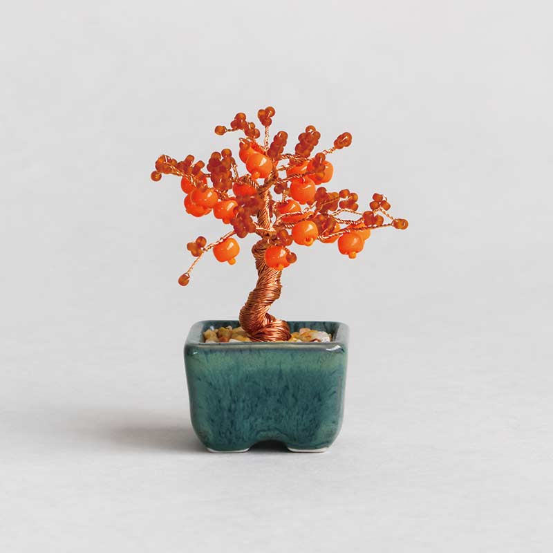 ネジッテBONSAI（柿）