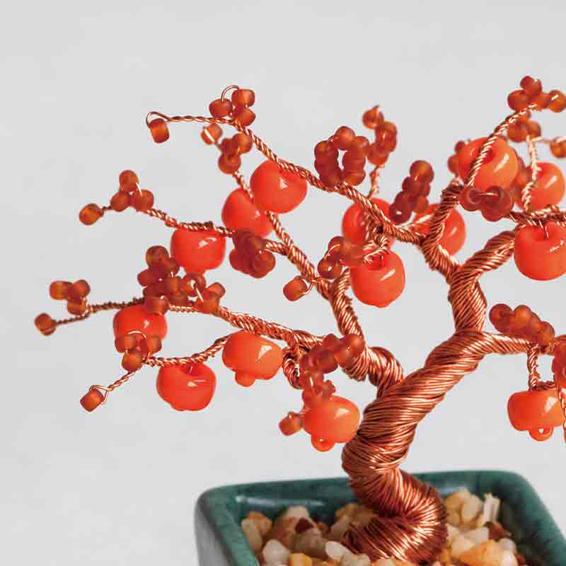 ネジッテBONSAI（柿）