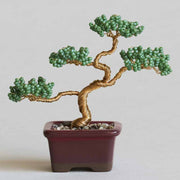 ネジッテBONSAI（松）