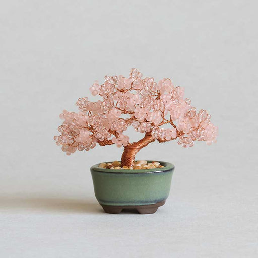 ネジッテBONSAI（桜）