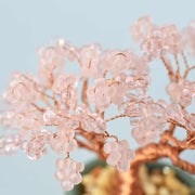 ネジッテBONSAI（桜）