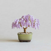 ネジッテBONSAI（藤）