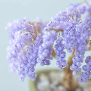 ネジッテBONSAI（藤）