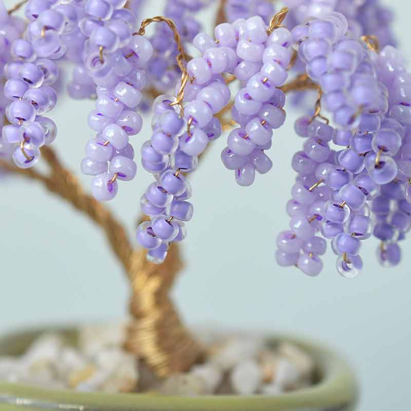 ネジッテBONSAI（藤）