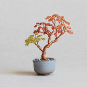 ネジッテBONSAI（紅葉）