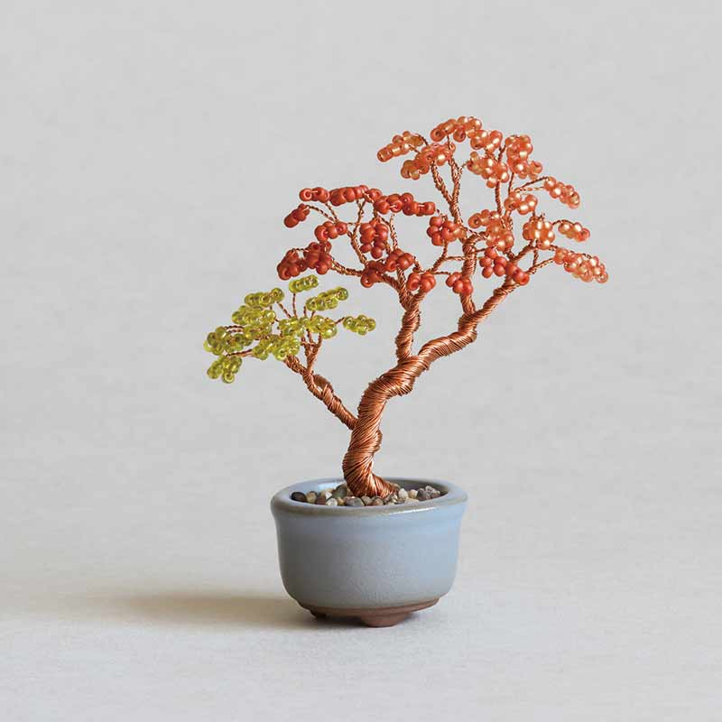 ネジッテBONSAI（紅葉）