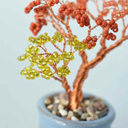 ネジッテBONSAI（紅葉）