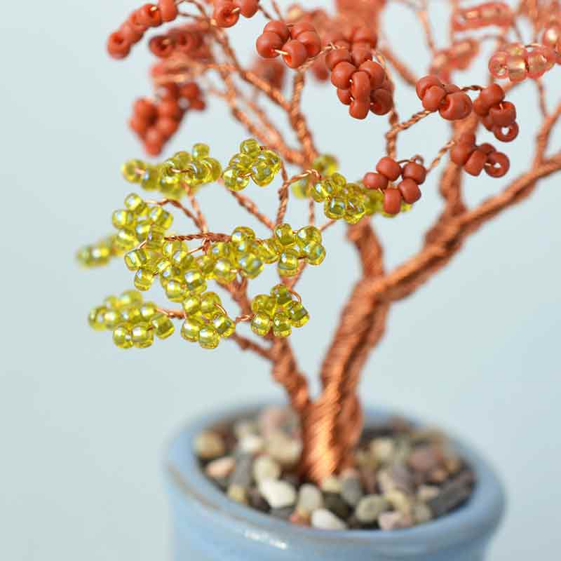 ネジッテBONSAI（紅葉）