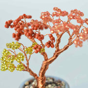 ネジッテBONSAI（紅葉）