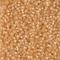 丸小ビーズ #552