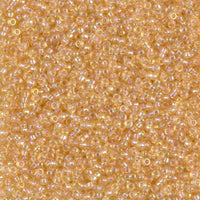 丸特小ビーズ #251