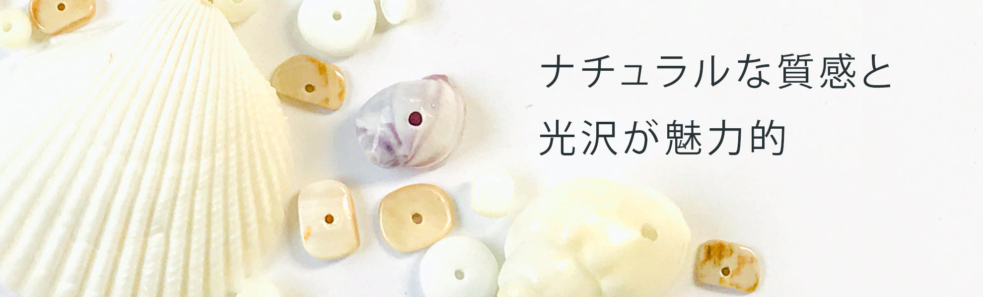 シェル