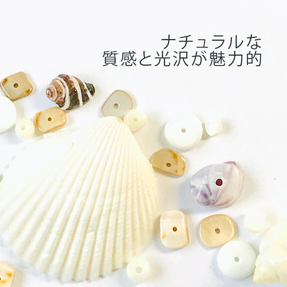 シェル