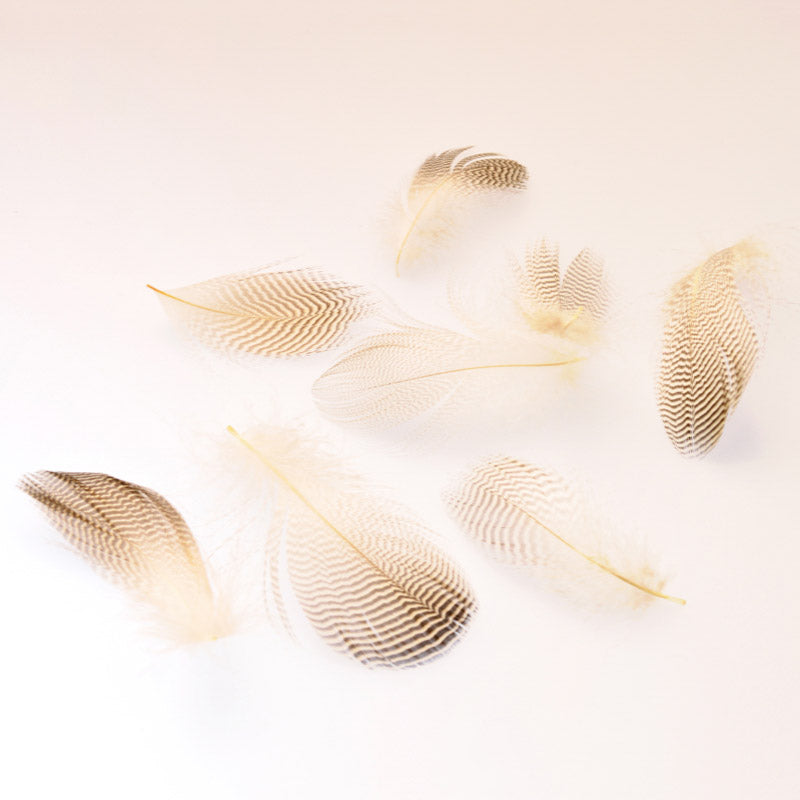 フェザー