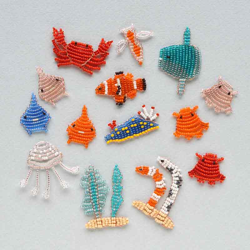 ビー図鑑（海の生物）